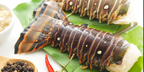 LOBSTER TAILS