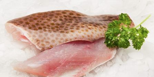 GROUPER – FILLETS : SKINLESS & BONELESS: